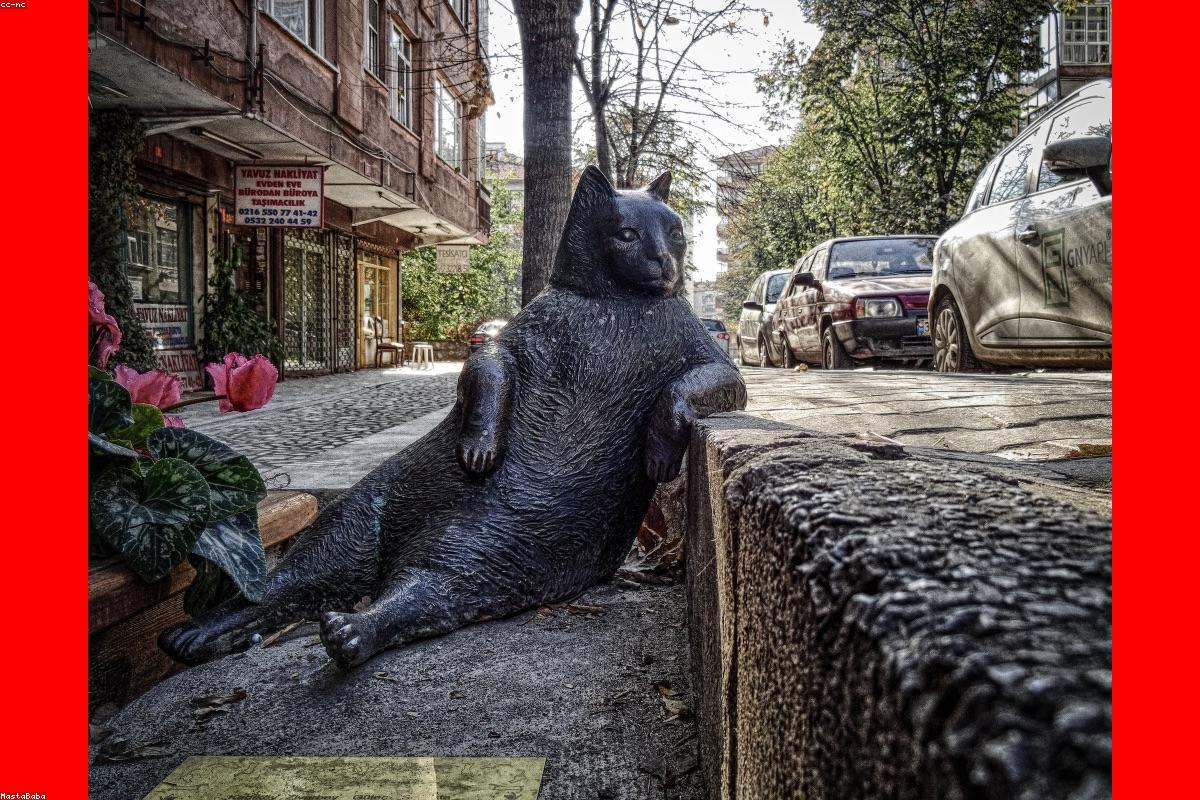 Best Baby Gates 2026